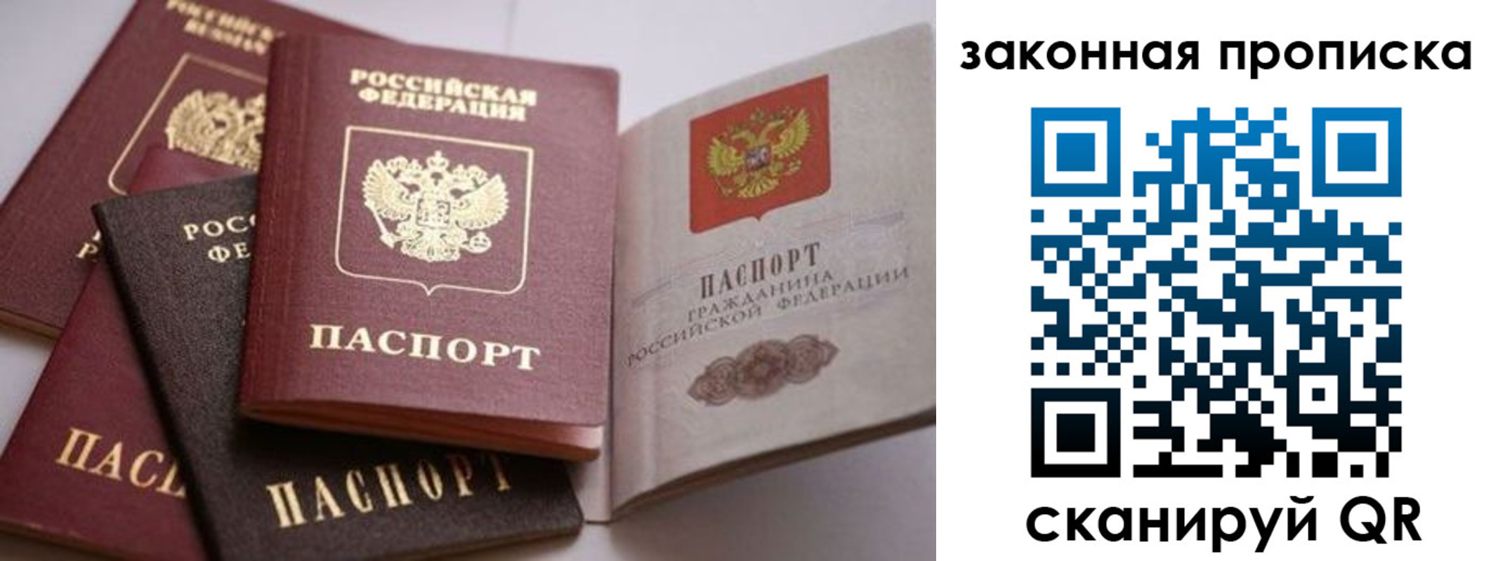 временная регистрация надежно в Светлогорске